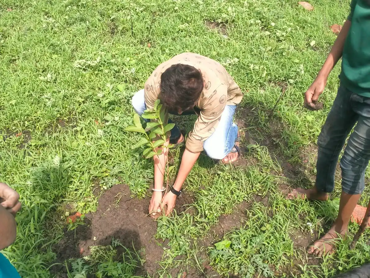 A volunteer pressing soil around a newly planted sapling.